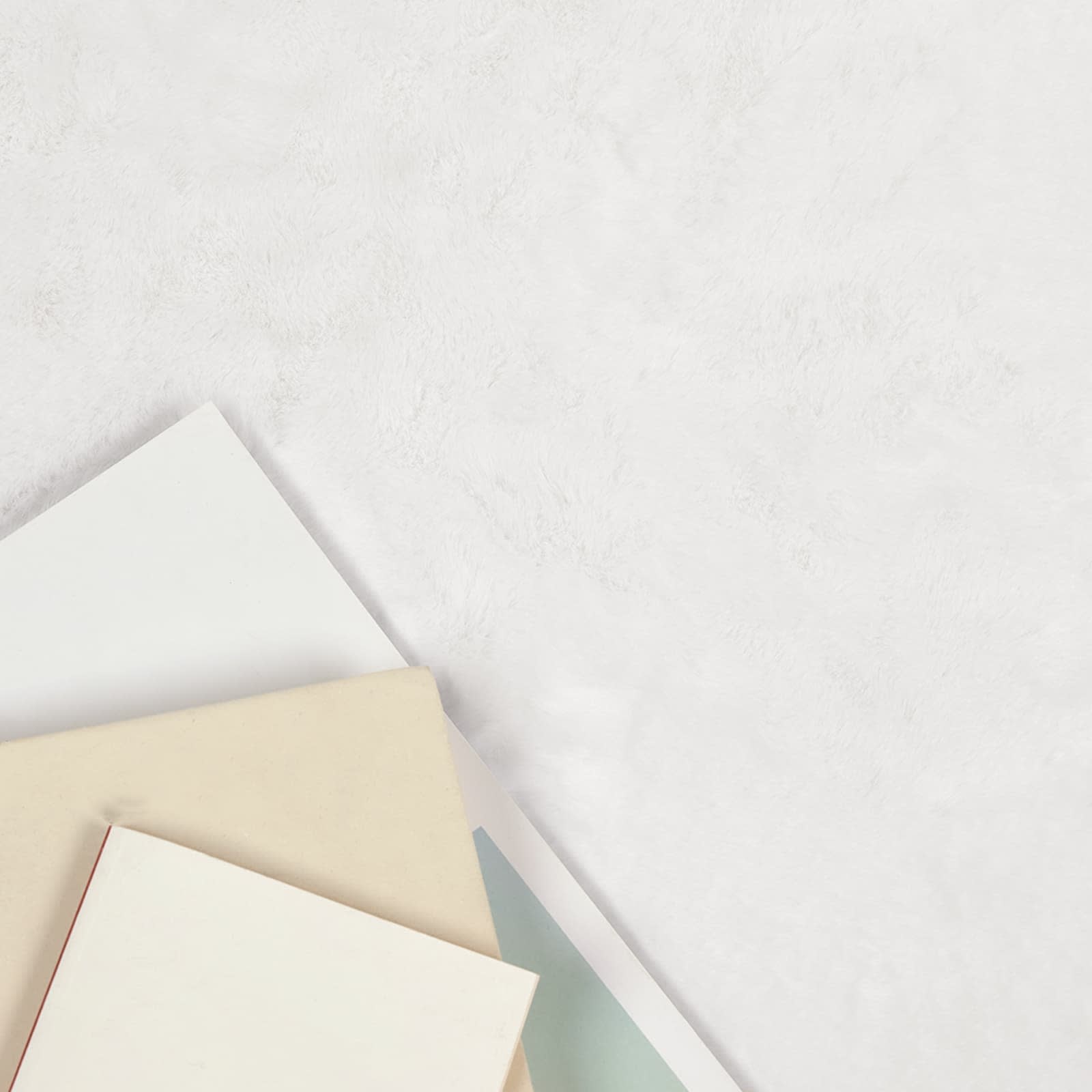 VidaXL Nep Konijnenbont Tapijt Olite Wit Ø 80 cm Polyester