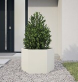 VidaXL Plantenbak zeshoek 69x60x45 cm staal wit