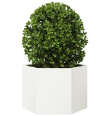 VidaXL Plantenbak zeshoek 69x60x45 cm staal wit
