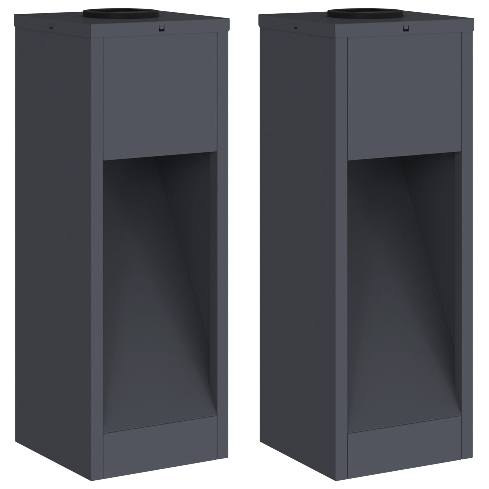 VidaXL Zonne LED Padverlichting 2 pcs Antraciet Koudgewalst staal