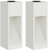 VidaXL Zonne LED Padverlichting 2 pcs Wit Koudgewalst staal