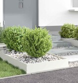 VidaXL Tuinrand 6 pcs Wit 60 x 60 x 13 cm Staal