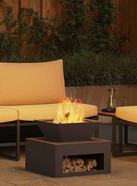 VidaXL Vuurkorf Zwart 50 x 50 x 40 cm Staal