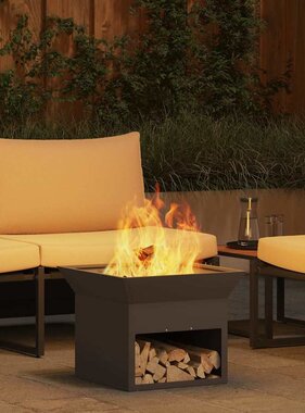 VidaXL Vuurkorf Zwart 50 x 50 x 40 cm Staal