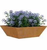 VidaXL Tuin Bloempot 5 pcs Roestig 50 x 50 x 15 cm Cortenstaal