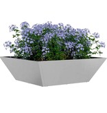 VidaXL Tuin Bloempot 5 pcs Zilver 50 x 50 x 15 cm Roestvrij staal