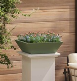 VidaXL Tuin Bloempot Olijf Groen 50 x 50 x 15 cm Koudgewalst staal