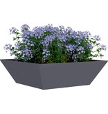 VidaXL Tuin Bloempot Antraciet 50 x 50 x 15 cm Koudgewalst staal