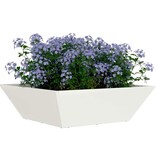 VidaXL Tuin Bloempot Wit 50 x 50 x 15 cm Koudgewalst staal