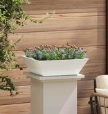 VidaXL Tuin Bloempot Wit 50 x 50 x 15 cm Koudgewalst staal