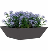 VidaXL Tuin Bloempot 5 pcs Zwart 50 x 50 x 15 cm Koudgewalst staal