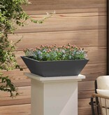 VidaXL Tuin Bloempot Zwart 50 x 50 x 15 cm Koudgewalst staal