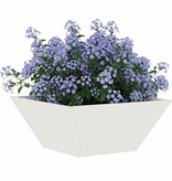 VidaXL Tuin Bloempot 5 pcs Wit 35 x 35 x 15 cm Koudgewalst staal