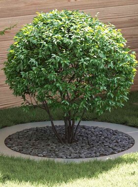 VidaXL geschikt voor platte boomring Zilver Ø90 / 120 cm