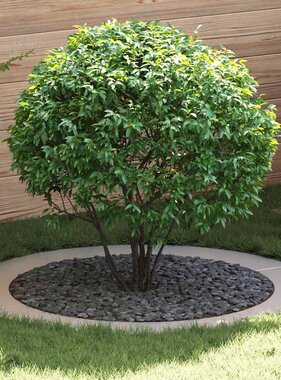 VidaXL geschikt voor platte boomring Zilver Ø90 / 120 cm Roestvrij staal