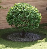 VidaXL geschikt voor platte boomring Olijfgroen Ø90 / 120 cm Staal