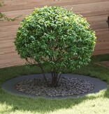 VidaXL geschikt voor platte boomringen 5 pcs Antraciet Ø90 / 120 cm