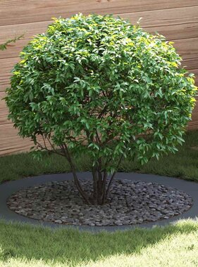 VidaXL geschikt voor platte boomring Antraciet Ø90 / 120 cm Staal