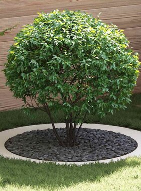 VidaXL geschikt voor platte boomringen 5 pcs Wit Ø90 / 120 cm Staal