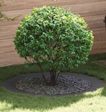 VidaXL geschikt voor platte boomring Zwart Ø90 / 120 cm Staal