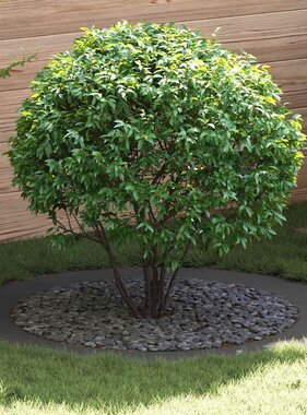 VidaXL geschikt voor platte boomring Zwart Ø90 / 120 cm Staal