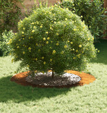 VidaXL geschikt voor platte boomring Bruin Ø60 / 90 cm Cortenstaal