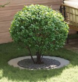 VidaXL geschikt voor platte boomring Zilver Ø60 / 90 cm