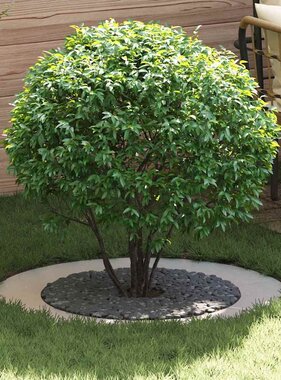 VidaXL geschikt voor platte boomringen 5 pcs Zilver Ø60 / 90 cm