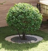 VidaXL geschikt voor platte boomring Zilver Ø60 / 90 cm Roestvrij staal