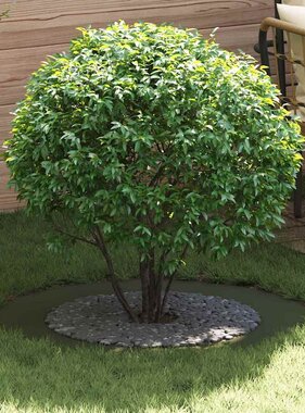 VidaXL geschikt voor platte boomringen 5 pcs Olijfgroen Ø60 / 90 cm