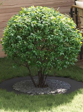 VidaXL geschikt voor platte boomring Zwart Ø60 / 90 cm Staal