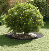 VidaXL geschikt voor platte boomring Zwart Ø60 / 90 cm Staal