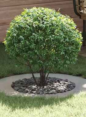 VidaXL geschikt voor platte boomringen 5 pcs Zilver Ø50 / 80 cm