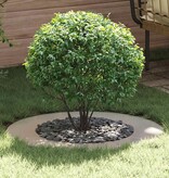 VidaXL geschikt voor platte boomringen 5 pcs Zilver Ø50 / 80 cm