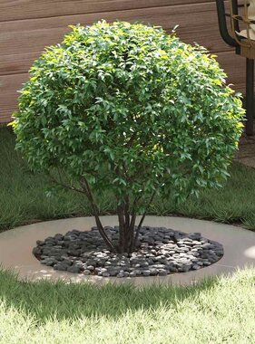 VidaXL geschikt voor platte boomring Zilver Ø50 / 80 cm Roestvrij staal