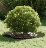 VidaXL geschikt voor platte boomringen 5 pcs Olijfgroen Ø50 / 80 cm