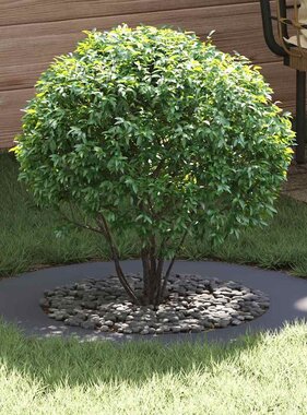 VidaXL geschikt voor platte boomringen 5 pcs Antraciet Ø50 / 80 cm Staal