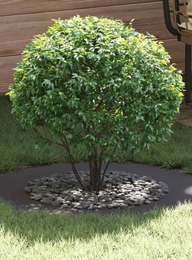 VidaXL geschikt voor platte boomring Zwart Ø50 / 80 cm Staal