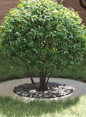 VidaXL geschikt voor platte boomringen 5 pcs Zilver Ø40 / 70 cm