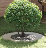 VidaXL geschikt voor platte boomring Zilver Ø40 / 70 cm