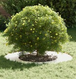 VidaXL geschikt voor platte boomringen 5 pcs Zilver Ø40 / 70 cm