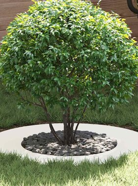 VidaXL geschikt voor platte boomringen 5 pcs Wit Ø40 / 70 cm Staal