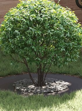 VidaXL geschikt voor platte boomringen 5 pcs Zwart Ø40 / 70 cm Staal