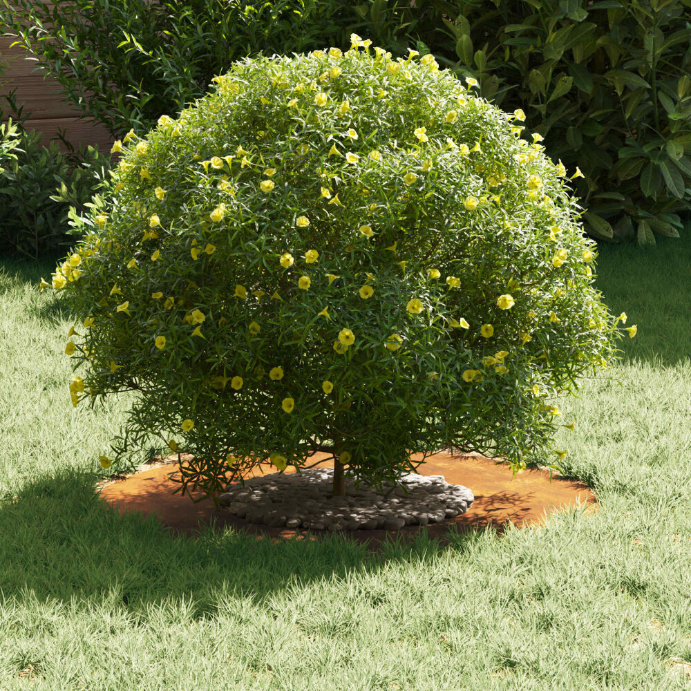 VidaXL geschikt voor platte boomringen 5 pcs Bruin Ø30 / 60 cm