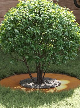 VidaXL geschikt voor platte boomring Bruin Ø30 / 60 cm Cortenstaal