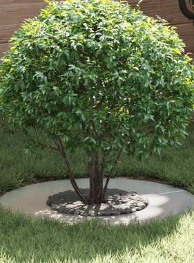 VidaXL geschikt voor platte boomring Zilver Ø30 / 60 cm