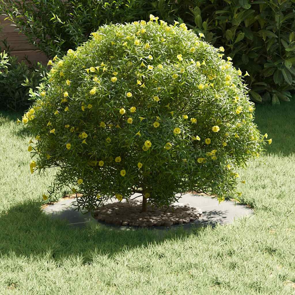 VidaXL geschikt voor platte boomring Zilver Ø30 / 60 cm