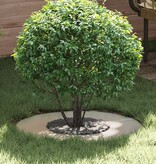 VidaXL geschikt voor platte boomring Zilver Ø30 / 60 cm Roestvrij staal