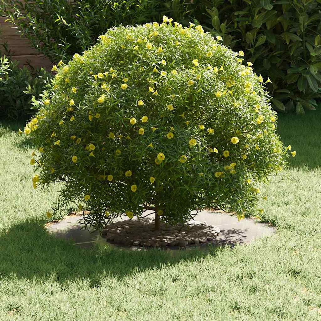 VidaXL geschikt voor platte boomring Zilver Ø30 / 60 cm Roestvrij staal