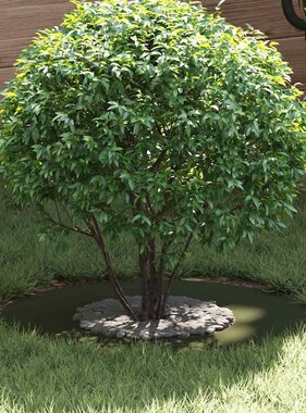 VidaXL geschikt voor platte boomringen 5 pcs Olijfgroen Ø30 / 60 cm